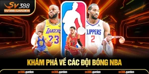 Khám phá về các đội bóng NBA